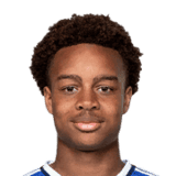 أسان أويدراوجو